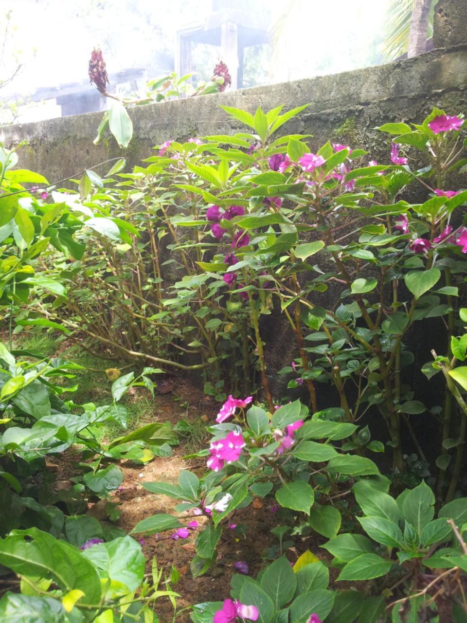 Ami place Hikkaduwa Exterior foto